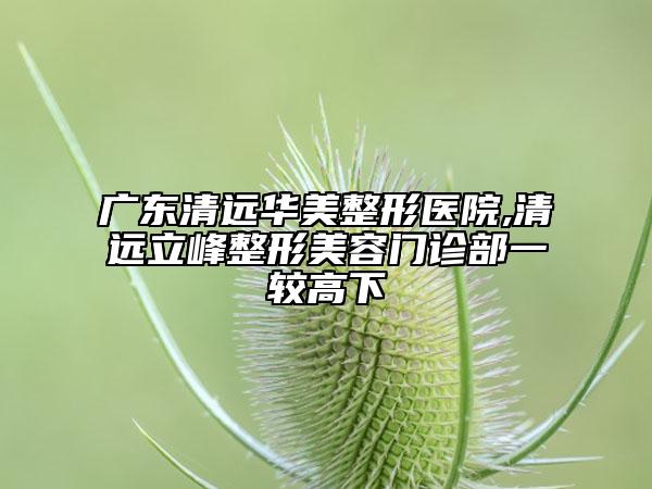 廣東清遠華美整形醫(yī)院,清遠立峰整形美容門診部一較高下