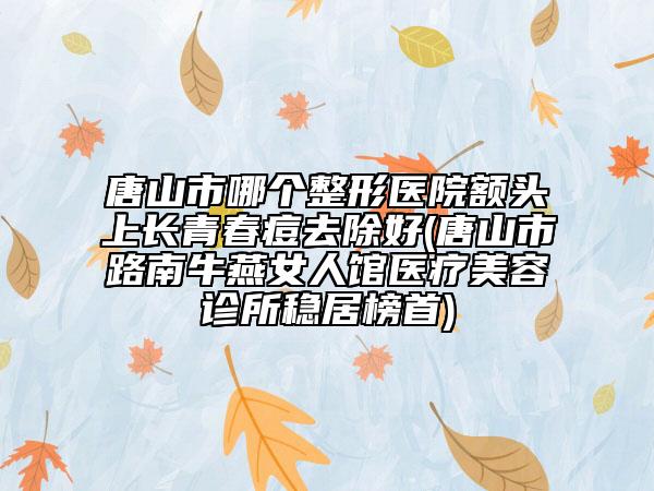 唐山市哪個(gè)整形醫(yī)院額頭上長(zhǎng)青春痘去除好(唐山市路南牛燕女人館醫(yī)療美容診所穩(wěn)居榜首)