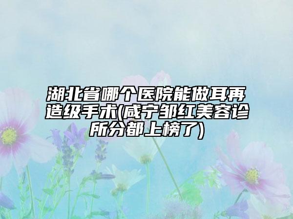 湖北省哪個醫(yī)院能做耳再造級手術(shù)(咸寧鄒紅美容診所分都上榜了)