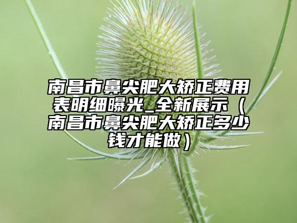南昌市鼻尖肥大矯正費用表明細曝光_全新展示（南昌市鼻尖肥大矯正多少錢才能做）