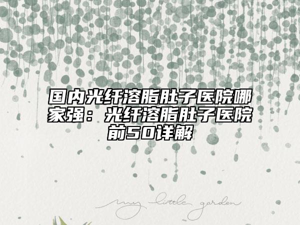 國(guó)內(nèi)光纖溶脂肚子醫(yī)院哪家強(qiáng)：光纖溶脂肚子醫(yī)院前50詳解