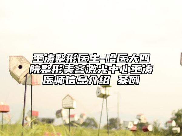 王濤整形醫(yī)生-哈醫(yī)大四院整形美容激光中心王濤醫(yī)師信息介紹 案例