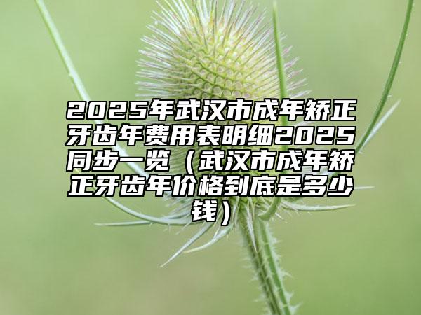 2025年武漢市成年矯正牙齒年費用表明細2025同步一覽（武漢市成年矯正牙齒年價格到底是多少錢）