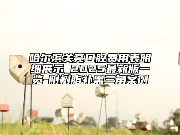 哈爾濱關(guān)亮口腔費(fèi)用表明細(xì)展示_2025最新版一覽-附樹(shù)脂補(bǔ)黑三角案例