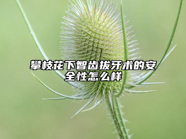 攀枝花下智齒拔牙術(shù)的安全性怎么樣