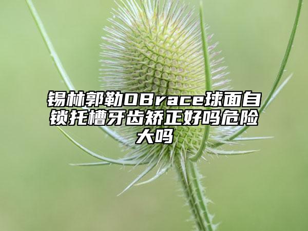 錫林郭勒OBrace球面自鎖托槽牙齒矯正好嗎危險大嗎