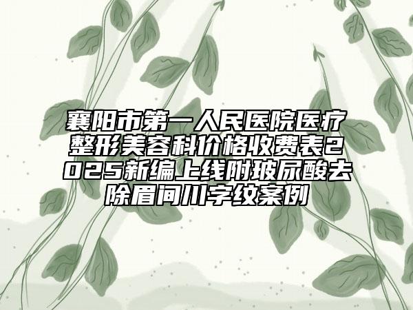 襄陽(yáng)市第一人民醫(yī)院醫(yī)療整形美容科價(jià)格收費(fèi)表2025新編上線附玻尿酸去除眉間川字紋案例