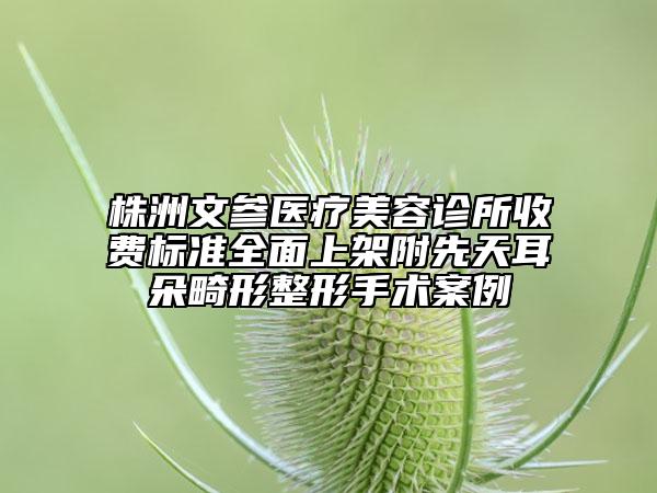 株洲文參醫(yī)療美容診所收費(fèi)標(biāo)準(zhǔn)全面上架附先天耳朵畸形整形手術(shù)案例
