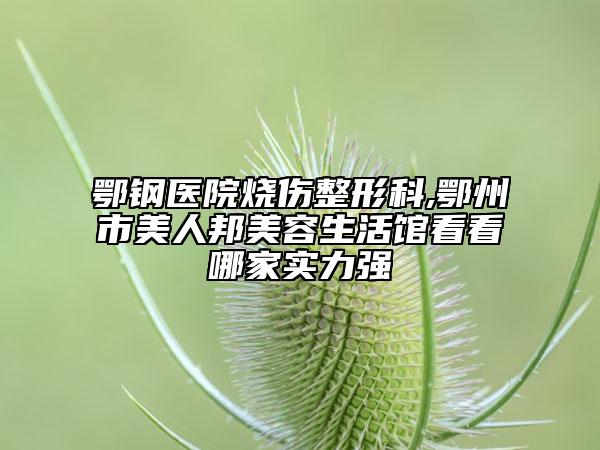 鄂鋼醫(yī)院燒傷整形科,鄂州市美人邦美容生活館看看哪家實力強