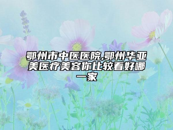 鄂州市中醫(yī)醫(yī)院,鄂州華亞美醫(yī)療美容你比較看好哪一家