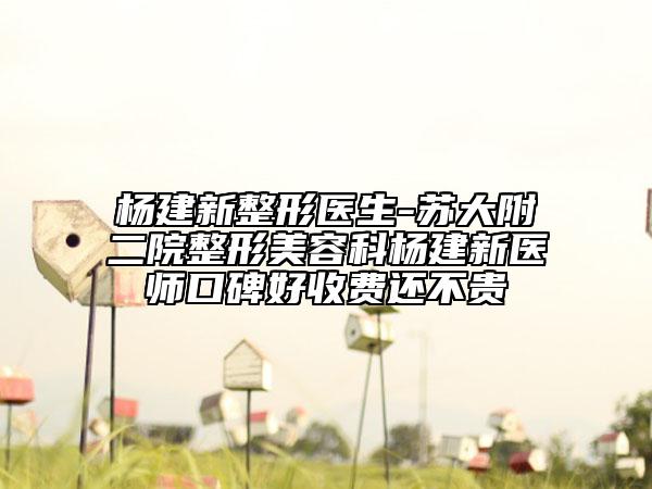 楊建新整形醫(yī)生-蘇大附二院整形美容科楊建新醫(yī)師口碑好收費(fèi)還不貴
