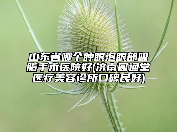 山東省哪個(gè)腫眼泡眼部吸脂手術(shù)醫(yī)院好(濟(jì)南圓通堂醫(yī)療美容診所口碑良好)