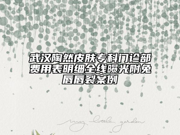 武漢陶然皮膚專科門診部費用表明細(xì)全線曝光附兔唇唇裂案例