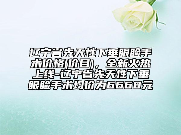 遼寧省先天性下垂眼瞼手術(shù)價(jià)格(價(jià)目)，全新火熱上線(xiàn)-遼寧省先天性下垂眼瞼手術(shù)均價(jià)為6668元