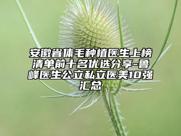 安徽省體毛種植醫(yī)生上榜清單前十名優(yōu)選分享-魯峰醫(yī)生公立私立醫(yī)美10強匯總
