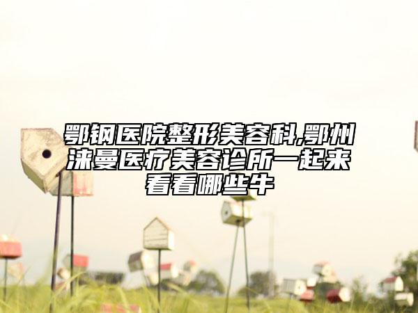 鄂鋼醫(yī)院整形美容科,鄂州淶曼醫(yī)療美容診所一起來看看哪些牛