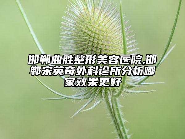 邯鄲曲勝整形美容醫(yī)院,邯鄲宋英奇外科診所分析哪家效果更好