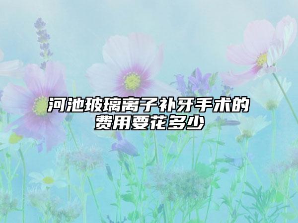 河池玻璃離子補(bǔ)牙手術(shù)的費(fèi)用要花多少