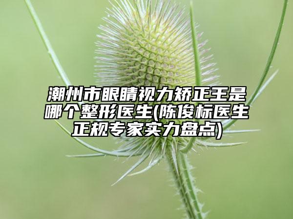 潮州市眼睛視力矯正王是哪個整形醫(yī)生(陳俊標醫(yī)生正規(guī)專家實力盤點)
