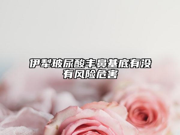 伊犁玻尿酸豐鼻基底有沒有風(fēng)險(xiǎn)危害