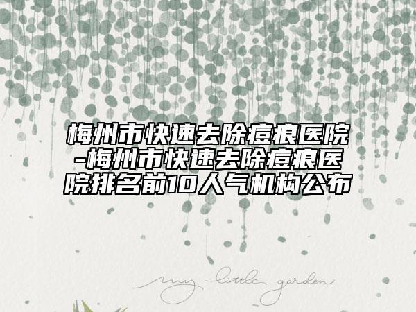 梅州市快速去除痘痕醫(yī)院-梅州市快速去除痘痕醫(yī)院排名前10人氣機(jī)構(gòu)公布