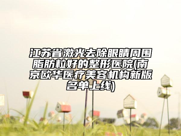 江蘇省激光去除眼睛周圍脂肪粒好的整形醫(yī)院(南京歐華醫(yī)療美容機(jī)構(gòu)新版名單上線)