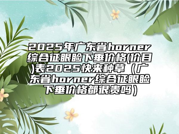 2025年廣東省horner綜合征眼瞼下垂價格(價目)表2025快來種草（廣東省horner綜合征眼瞼下垂價格都很貴嗎）
