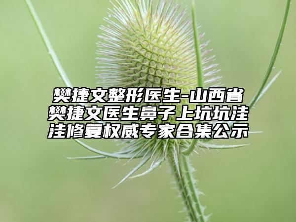 樊捷文整形醫(yī)生-山西省樊捷文醫(yī)生鼻子上坑坑洼洼修復(fù)權(quán)威專家合集公示