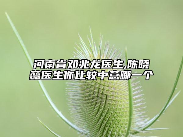 河南省鄧兆龍醫(yī)生,陳曉蕊醫(yī)生你比較中意哪一個