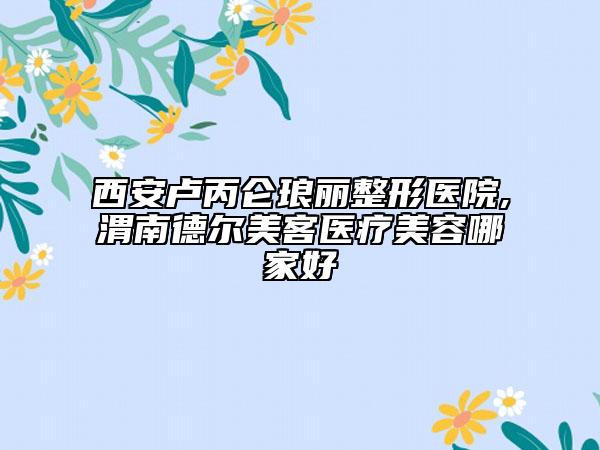 西安盧丙侖瑯麗整形醫(yī)院,渭南德爾美客醫(yī)療美容哪家好