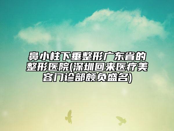 鼻小柱下垂整形廣東省的整形醫(yī)院(深圳回來醫(yī)療美容門診部頗負盛名)