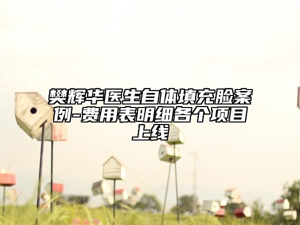樊輝華醫(yī)生自體填充臉案例-費用表明細各個項目上線