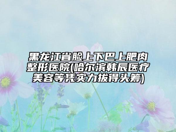 黑龍江省臉上下巴上肥肉整形醫(yī)院(哈爾濱韓辰醫(yī)療美容等憑實(shí)力拔得頭籌)