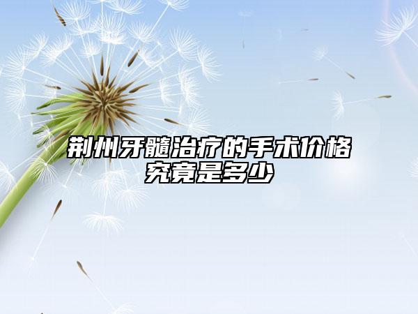荊州牙髓治療的手術(shù)價(jià)格究竟是多少