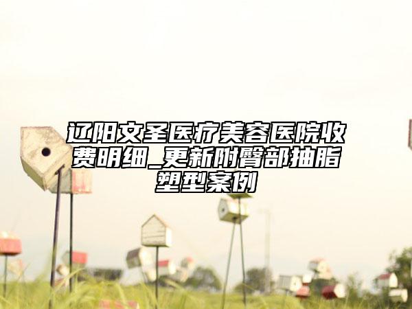 遼陽文圣醫(yī)療美容醫(yī)院收費(fèi)明細(xì)_更新附臀部抽脂塑型案例