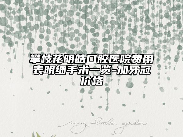攀枝花明皓口腔醫(yī)院費(fèi)用表明細(xì)手術(shù)一覽-加牙冠價(jià)格