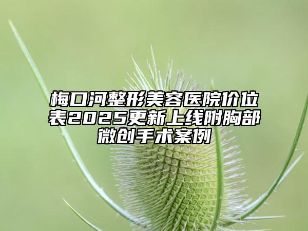 梅口河整形美容醫(yī)院價位表2025更新上線附胸部微創(chuàng)手術(shù)案例