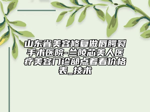 山東省美容修復做唇腭裂手術醫(yī)院-蘭陵芯美人醫(yī)療美容門診部點著看價格表_技術