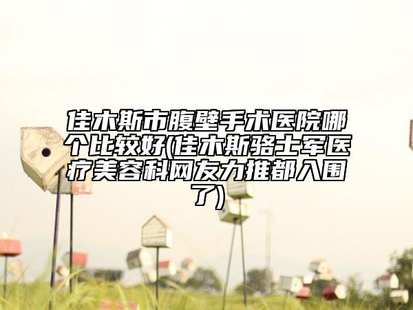 佳木斯市腹壁手術醫(yī)院哪個比較好(佳木斯駱士軍醫(yī)療美容科網(wǎng)友力推都入圍了)