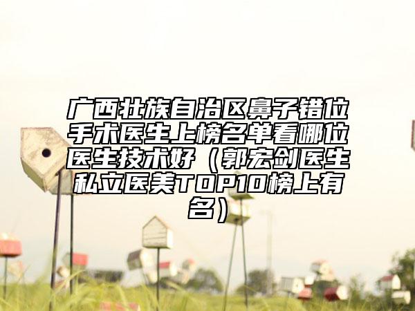 廣西壯族自治區(qū)鼻子錯(cuò)位手術(shù)醫(yī)生上榜名單看哪位醫(yī)生技術(shù)好（郭宏劍醫(yī)生私立醫(yī)美TOP10榜上有名）