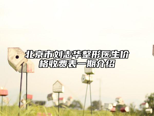 北京市劉志華整形醫(yī)生價格收費表一期介紹