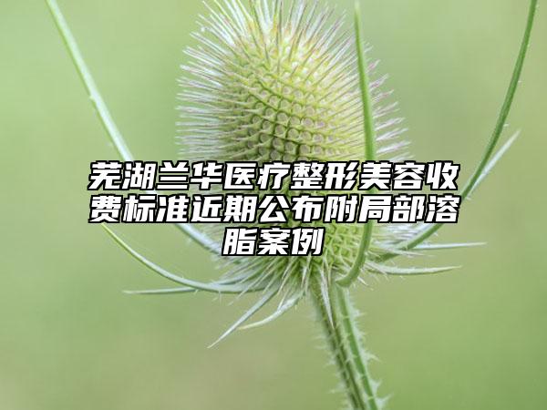 蕪湖蘭華醫(yī)療整形美容收費標(biāo)準(zhǔn)近期公布附局部溶脂案例