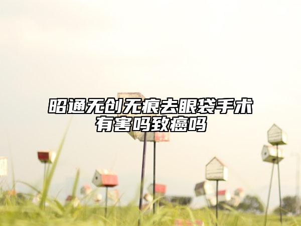 昭通無創(chuàng)無痕去眼袋手術有害嗎致癌嗎
