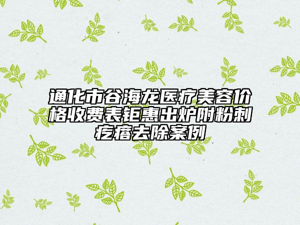 通化市谷海龍醫(yī)療美容價(jià)格收費(fèi)表鉅惠出爐附粉刺疙瘩去除案例
