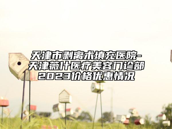 天津市剝離術填充醫(yī)院-天津薇什醫(yī)療美容門診部2023價格優(yōu)惠情況