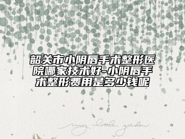 韶關(guān)市小陰唇手術(shù)整形醫(yī)院哪家技術(shù)好-小陰唇手術(shù)整形費用是多少錢呢