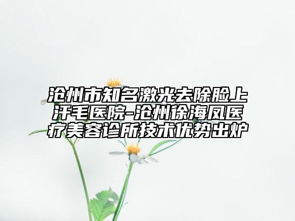 滄州市知名激光去除臉上汗毛醫(yī)院-滄州徐海鳳醫(yī)療美容診所技術(shù)優(yōu)勢出爐