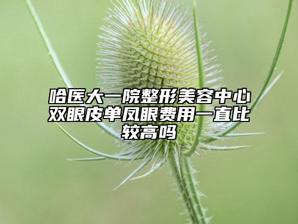 哈醫(yī)大一院整形美容中心雙眼皮單鳳眼費(fèi)用一直比較高嗎