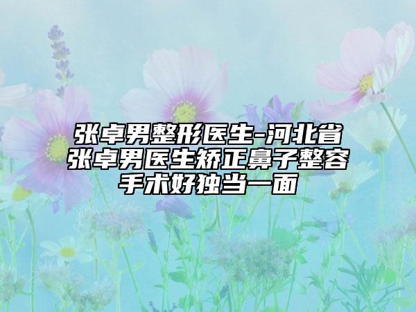 張卓男整形醫(yī)生-河北省張卓男醫(yī)生矯正鼻子整容手術(shù)好獨(dú)當(dāng)一面