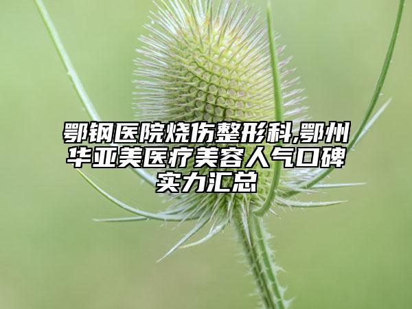 鄂鋼醫(yī)院燒傷整形科,鄂州華亞美醫(yī)療美容人氣口碑實(shí)力匯總